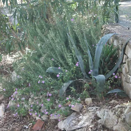 La Mascherada * Ostuni