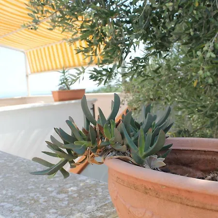 La Mascherada * Ostuni