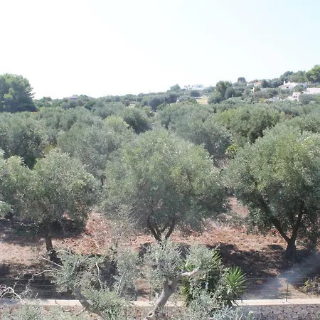 La Mascherada オストゥーニ