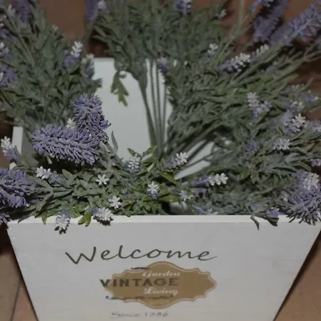 La Mascherada Appartement *