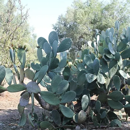 La Mascherada Appartement *