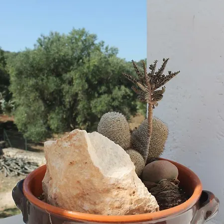 Appartement La Mascherada